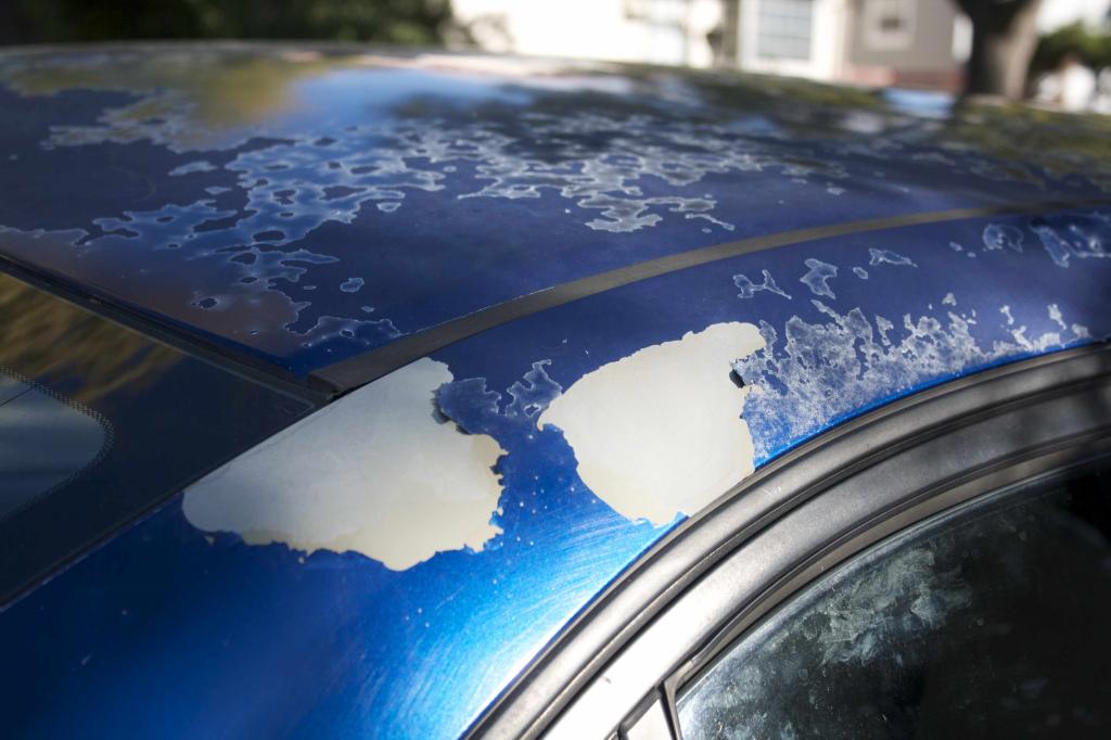 2004 Honda car paint problem #1