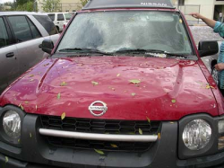Ford hail damaged cars #10