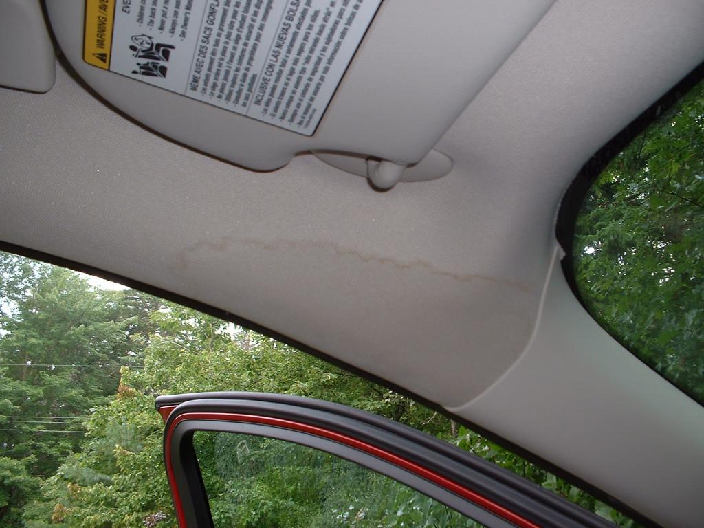 2010 Ford focus water leaks #2